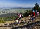 Mountainbike am Hohen Bogen, Landkreis Cham