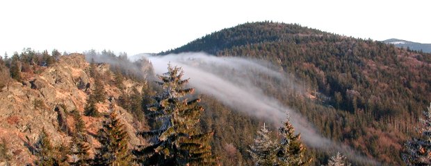 Der Kaitersberg im Bayerischen Wald