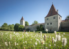 Naturpark Altmühltal/Stadtmauer von Berching