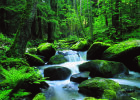 Naturpark Nördlicher Oberpfälzer Wald/Lerautal bei Leuchtenberg