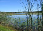 Naturpark Oberpfälzer Wald/Naturschutzgebiet Charlottenhofer Weihergebiet