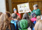 Umweltbildungsaktion mit Schulkindern aus Neunburg vorm Wald und Rötz am Eixendorfer See 